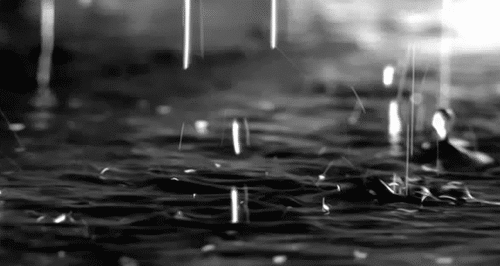 Rain52